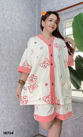 S-0020--18734- SS.nút  00228