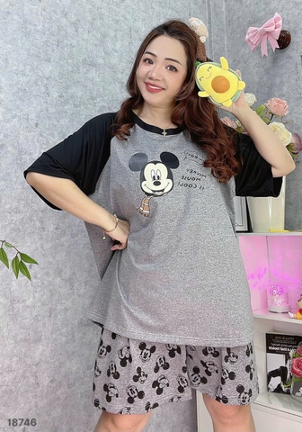 S-0020--18746- ss.Micky 00188