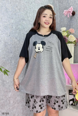 S-0020--18746- ss.Micky 00188