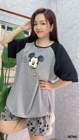 S-0020--18746- ss.Micky 00188