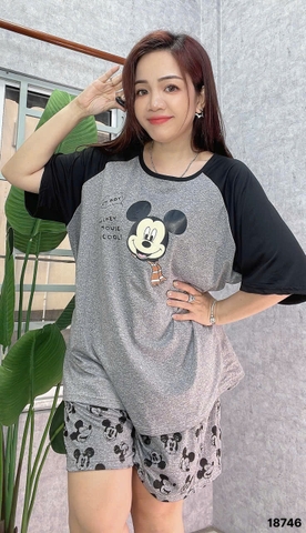 S-0020--18746- ss.Micky 00188