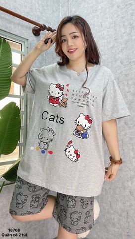 S-0020--18766- SS.Kity 00320