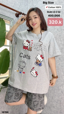 S-0020--18766- SS.Kity 00320