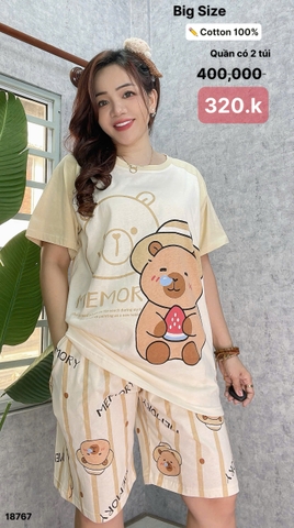 S-0020--18767- SS.Capy 00320