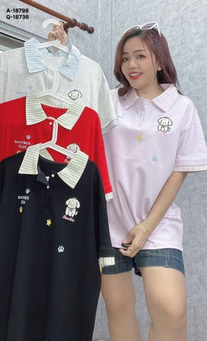 S-0020--18798- A.Polo Cho- 00320