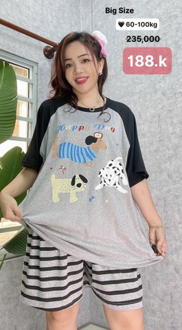 S-0020--18824- SS.3 Cho- 00188