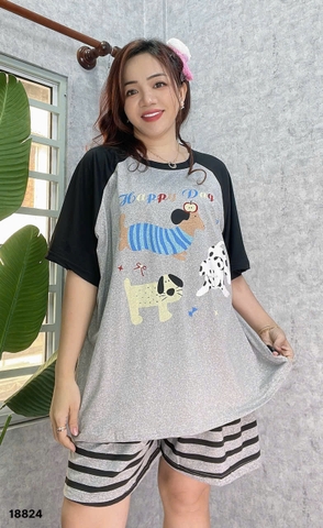 S-0020--18824- SS.3 Cho- 00188