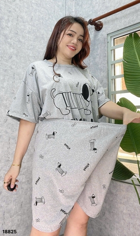 S-0020--18825- SS.Hello 00188