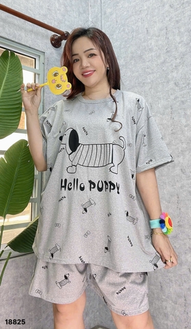 S-0020--18825- SS.Hello 00188