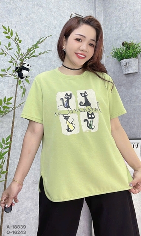 S-0030--18839- A 4 Meo- 00231