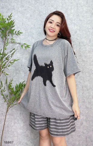 S-0020--18867- SS.Meo 00188