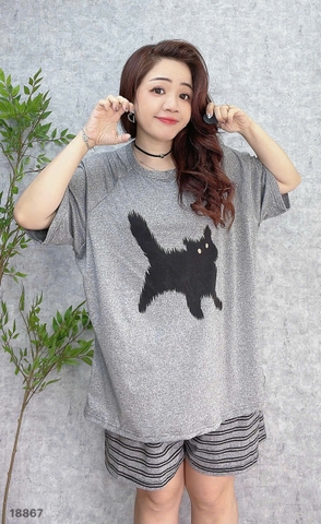 S-0020--18867- SS.Meo 00188