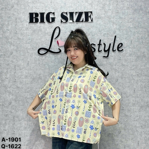 1901 Sm. Dài hoa lá 00270