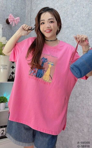 S-30--19066- Ao4. 3 Meo- 00252