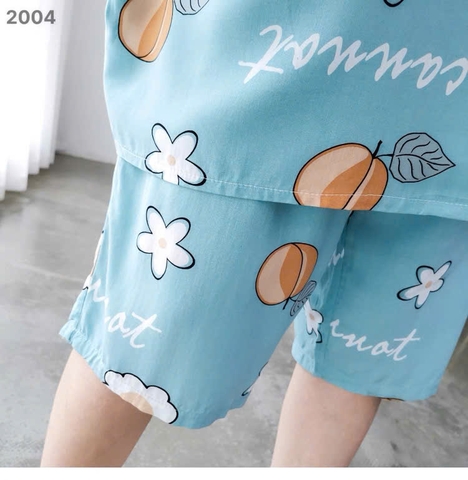 S-0020- 2004- ss.Pi 00336