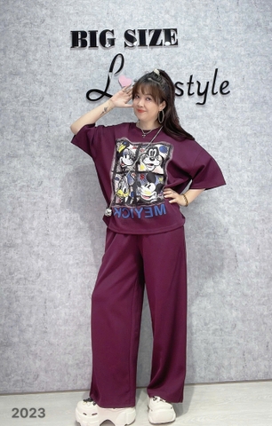 S-0020-2023 SD.4 ô Micky 00312