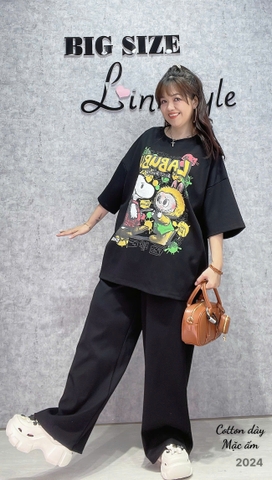 S-0020-2024 SD.LBB 00312