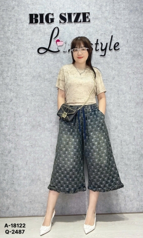 2487 Q.Jean suông LT CR 00315