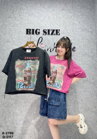 2799 A.Crop Rút Coca 00270