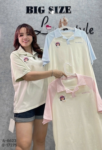 6623 S-0025 A.polo TR CG 00210