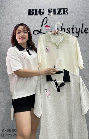 6630 S-0025 A.polo logo 00210