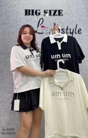 6670 S-0025 A.polo MIU 00210