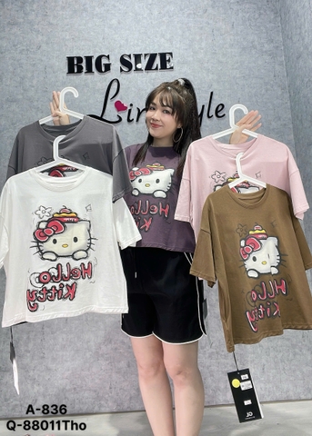 S-0030--Áo CROP Hello Kity  lửng BIGSIZE QCCC chất đẹp - 836