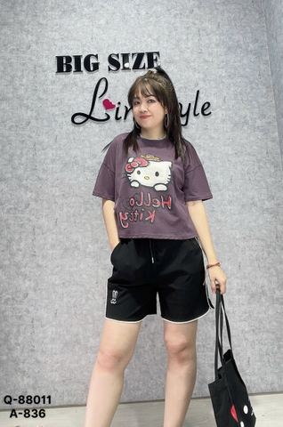 88011 S-0020  QS logo Tho-  00160