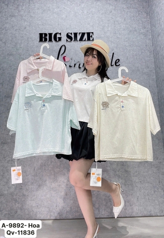 9892 - S-0020 A.Polo logo Hoa 00232