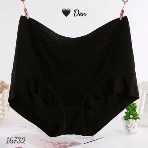 16732 Q.lót 49- ĐEN