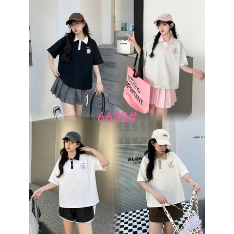 6630 S-0020 A.polo logo 00224