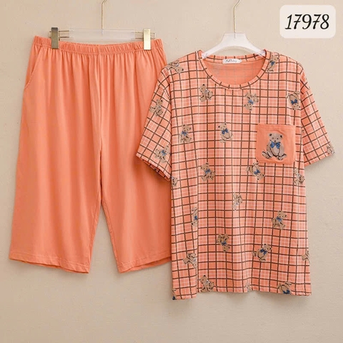 17978 SL.DAIxin G- CR - CAM