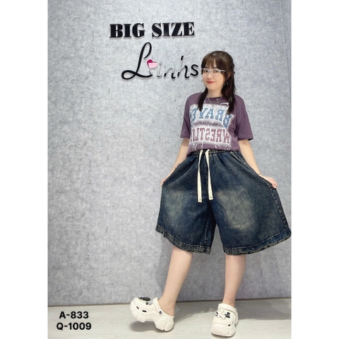 1009 QS.LT trơn 00315