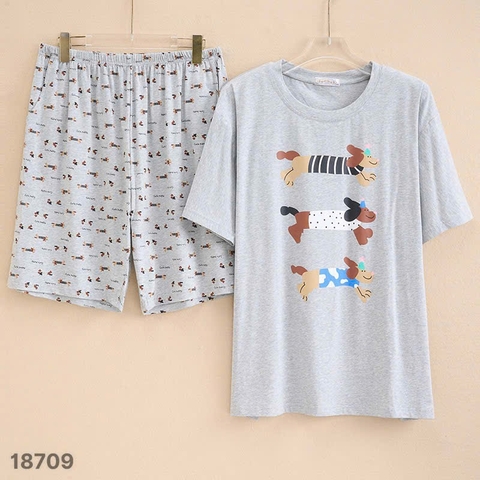 S-0020--18709- SS. 3 Cho- 00399