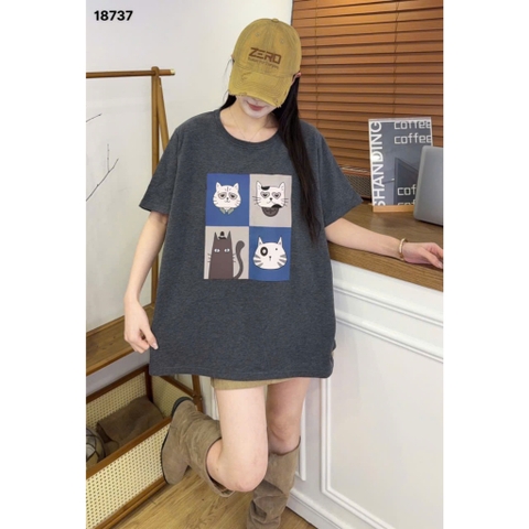 S-0020--18737- A.Meo- 00288