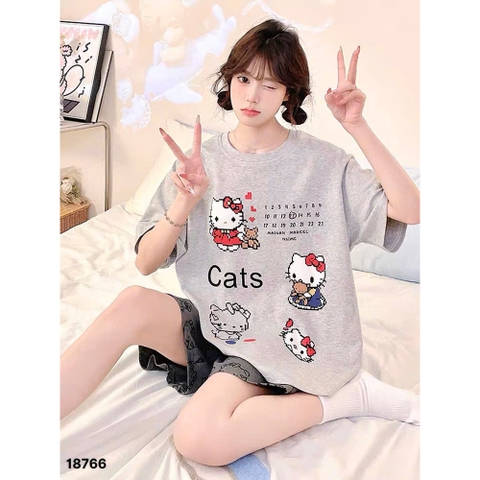 S-0020--18766- SS.Kity 00320