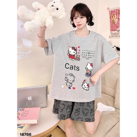 S-0020--18766- SS.Kity 00320