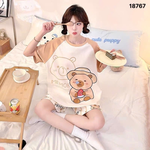 S-0020--18767- SS.Capy 00320