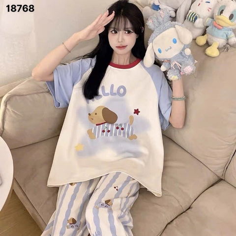 S-0020--18768- SD Cho- 00380