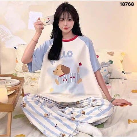 S-0020--18768- SD Cho- 00380