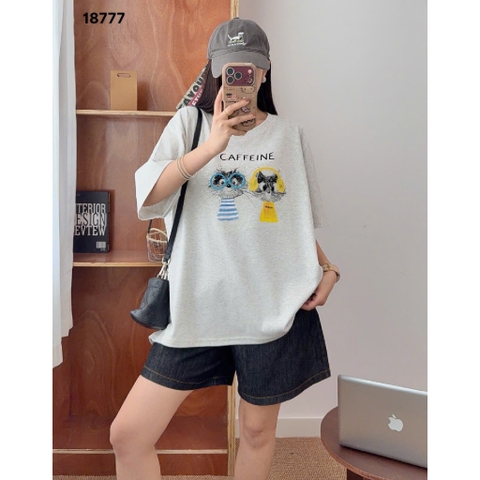 S-0020--18777- A.OVS 2 con 00296