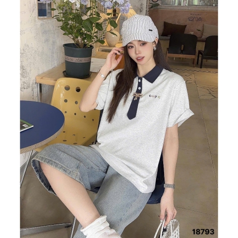 S-0020--18793- A.polo CV 00320