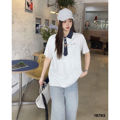 S-0020--18793- A.polo CV 00320