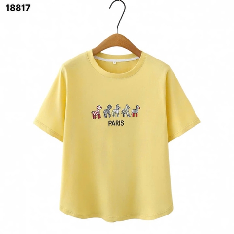 S-0020--18817- A.5 Ngua- 00272