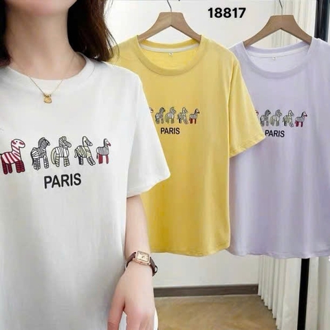 S-0020--18817- A.5 Ngua- 00272