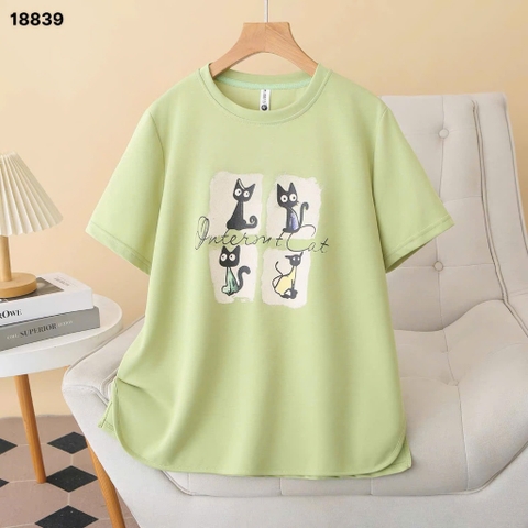 S-0030--18839- A 4 Meo- 00231