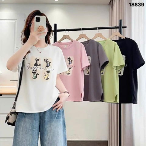 S-0030--18839- A 4 Meo- 00231