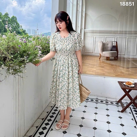 S-0020--18851- D.Nhúng 00428