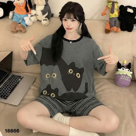 S-0020--18866- SS.3 Meo- 00188