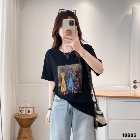S-20--18885- A.3 Meo- 00260